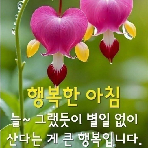 피드 이미지