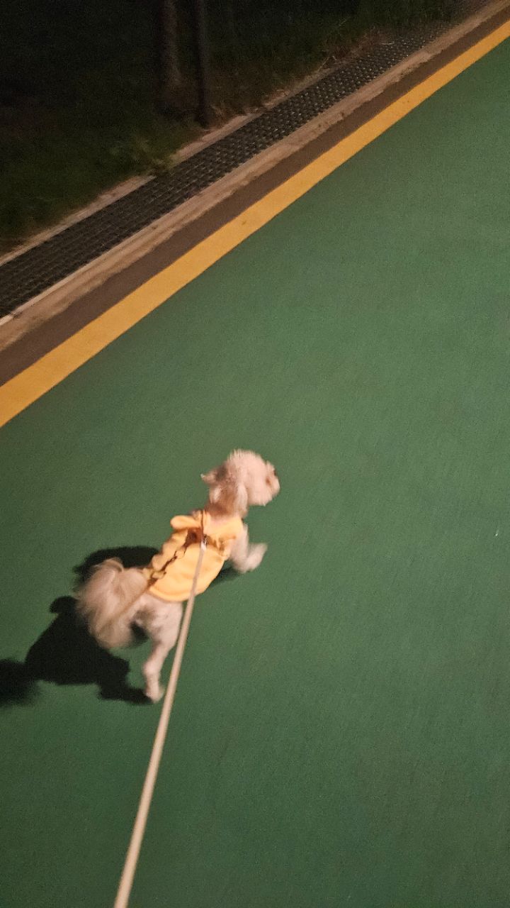 피드에 업로드 된 이미지
