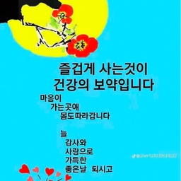 피드에 업로드 된 이미지