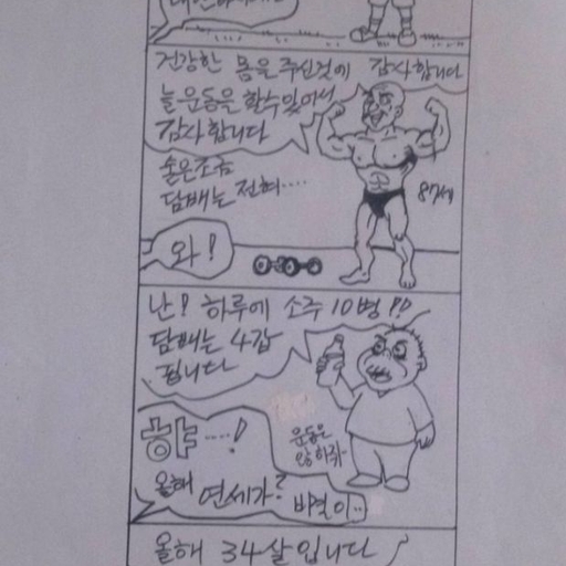 피드 이미지