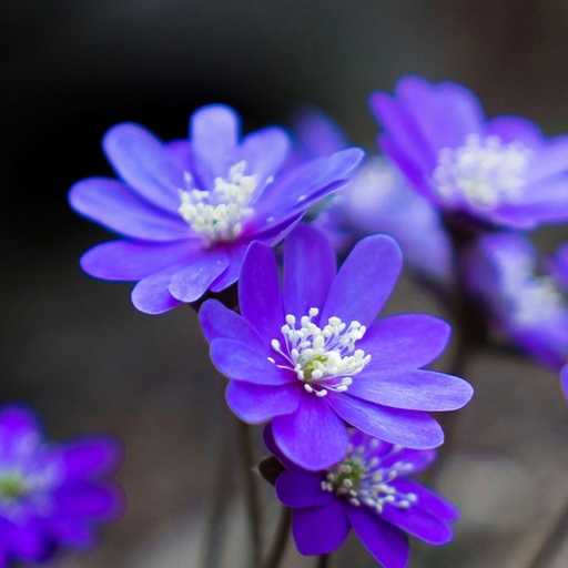 모임 대표 이미지