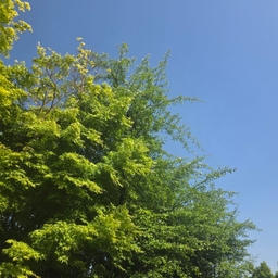피드에 업로드 된 이미지