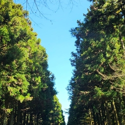 피드에 업로드 된 이미지