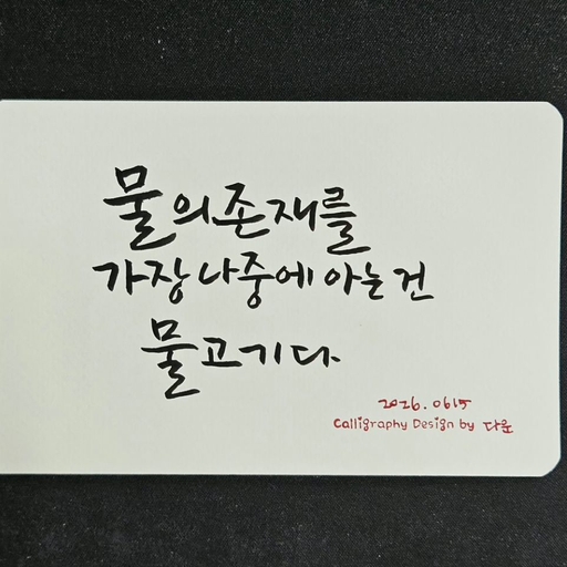 피드 이미지