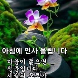 피드에 업로드 된 이미지