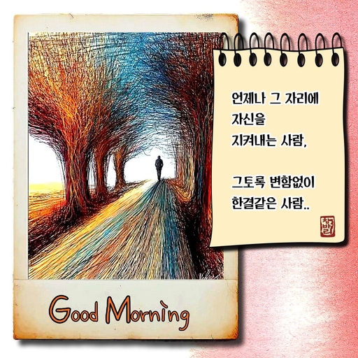 피드 이미지