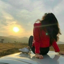 피드 작성자 프로필
