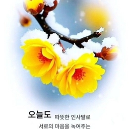 ํผ๋์ ์
๋ก๋ ๋ ์ด๋ฏธ์ง