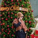 피드 작성자 프로필