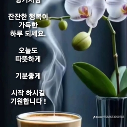 피드에 업로드 된 이미지