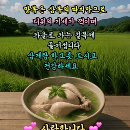 피드에 업로드 된 이미지