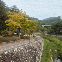 피드에 업로드 된 이미지