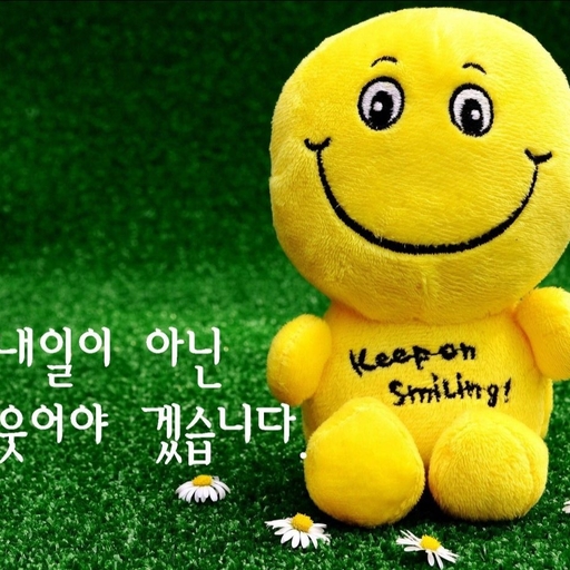 피드 이미지