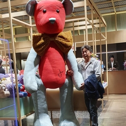 피드에 업로드 된 이미지