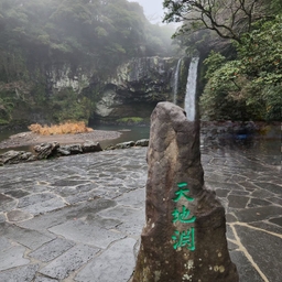 피드에 업로드 된 이미지