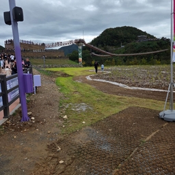 피드에 업로드 된 이미지