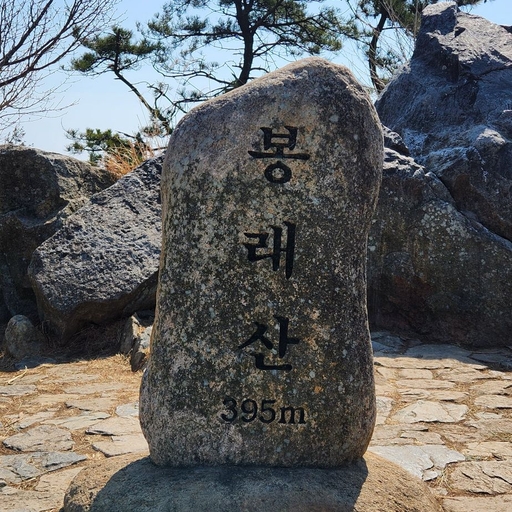 피드 이미지