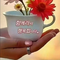 피드에 업로드 된 이미지
