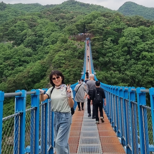피드 이미지
