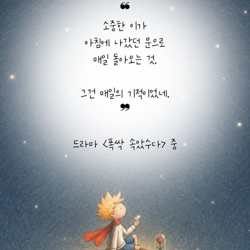 피드 이미지