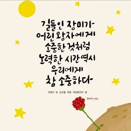 피드에 업로드 된 이미지