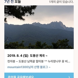 피드에 업로드 된 이미지