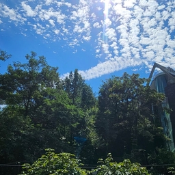 피드에 업로드 된 이미지