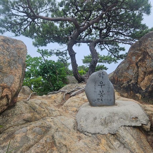 피드 이미지