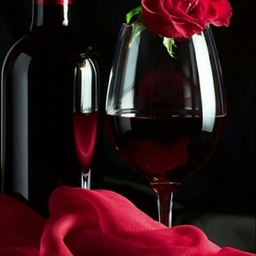 피드에 업로드 된 이미지