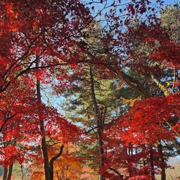 ํผ๋์ ์
๋ก๋ ๋ ์ด๋ฏธ์ง