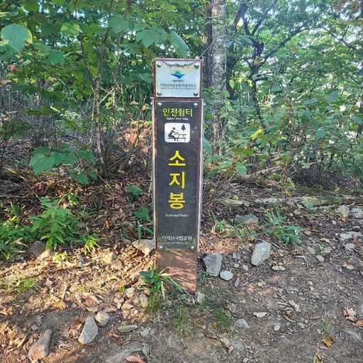 피드 이미지