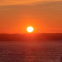 공지사항 작성자 프로필