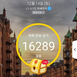 피드에 업로드 된 이미지