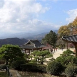 피드에 업로드 된 이미지