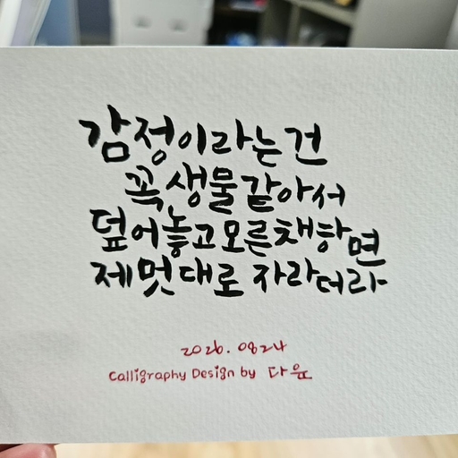 피드 이미지