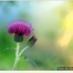 피드에 업로드 된 이미지