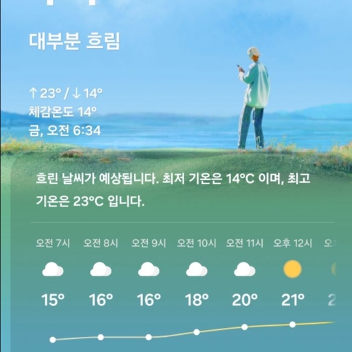 피드 이미지