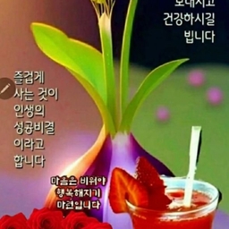 피드에 업로드 된 이미지