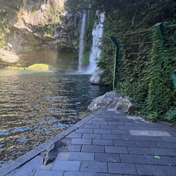 피드에 업로드 된 이미지