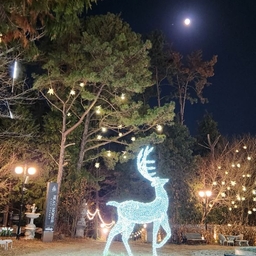 피드에 업로드 된 이미지