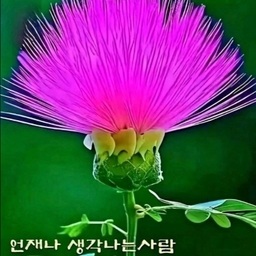 피드에 업로드 된 이미지