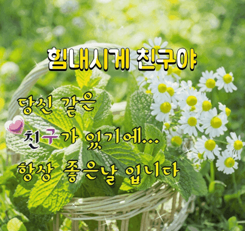 피드 이미지
