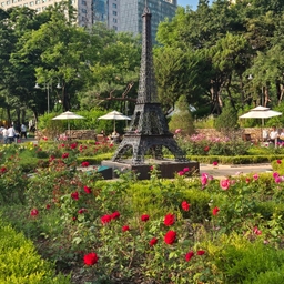 피드에 업로드 된 이미지