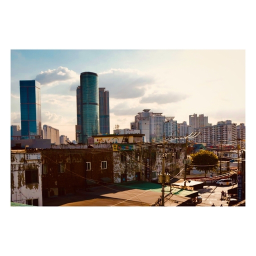 피드 이미지