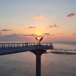 피드에 업로드 된 이미지