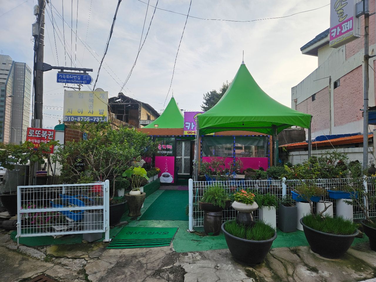 피드 이미지