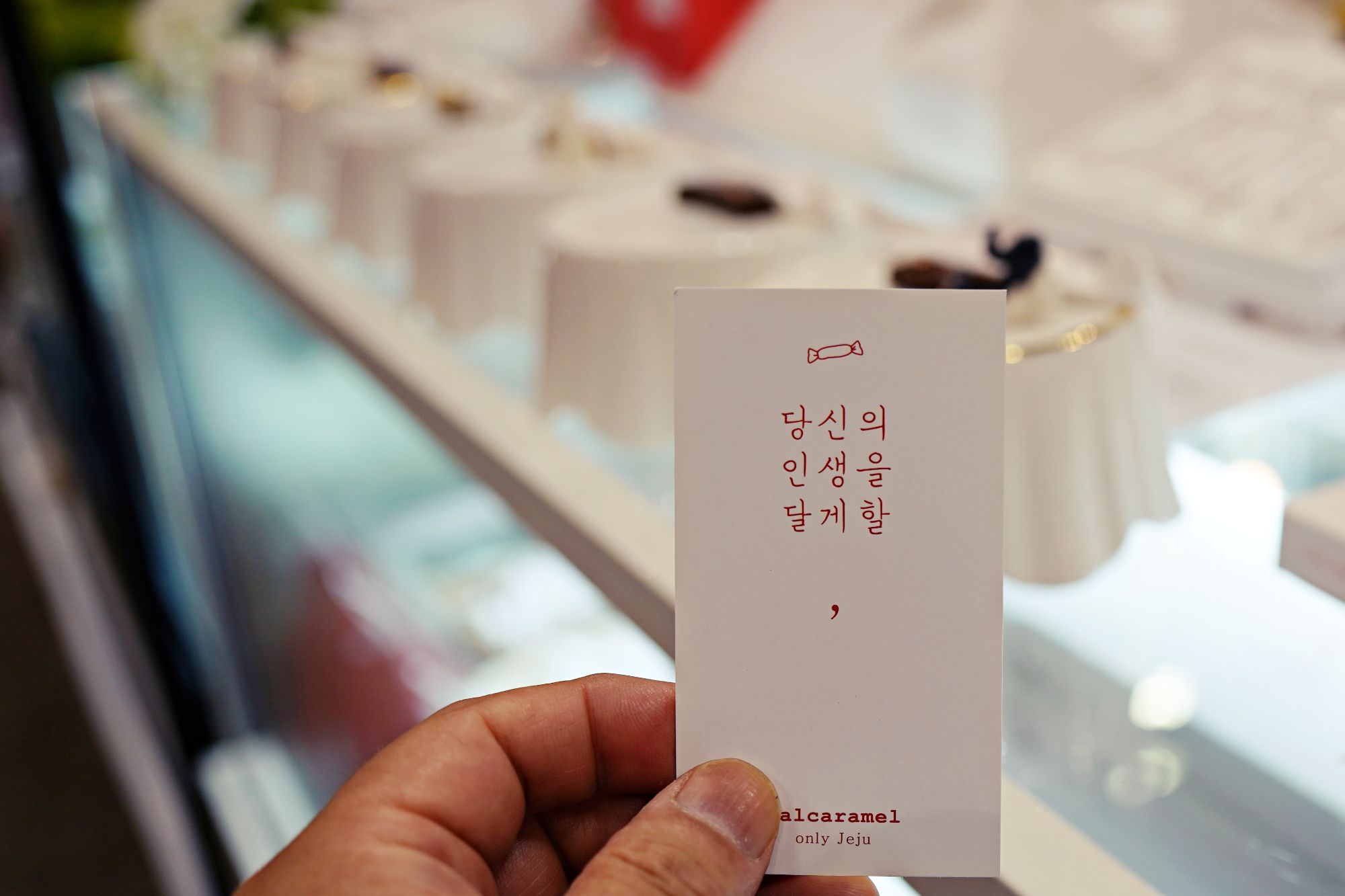 피드 이미지