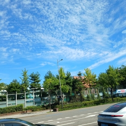 피드에 업로드 된 이미지