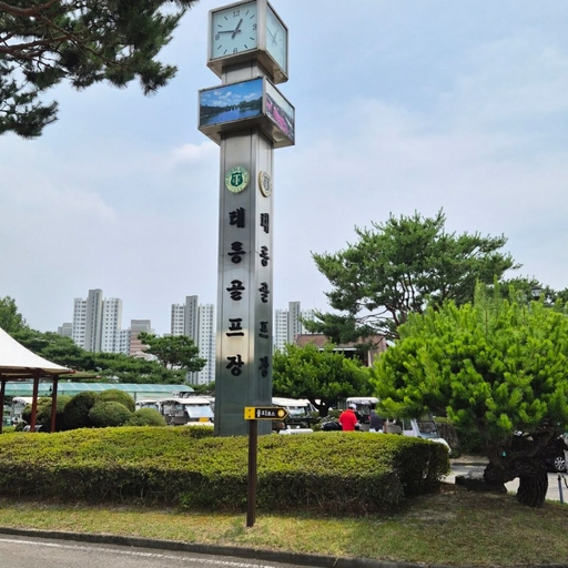 피드 이미지