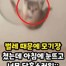 피드에 업로드 된 이미지